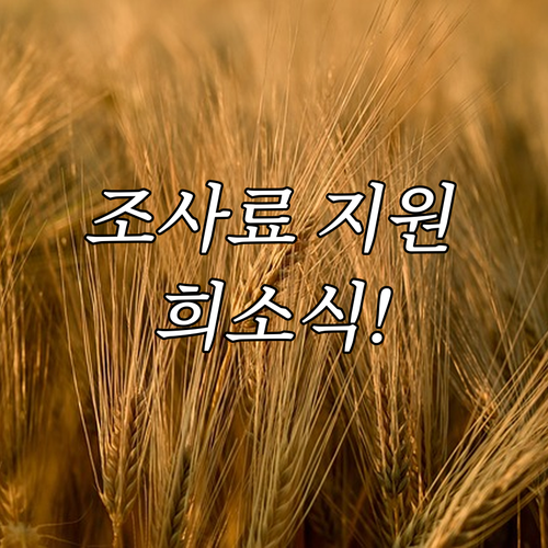 2025 축산 농가 희소식 조사료 사..