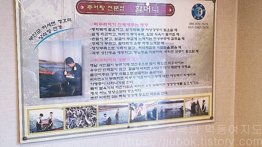 할머니-추어탕-미꾸라지-효능-설명