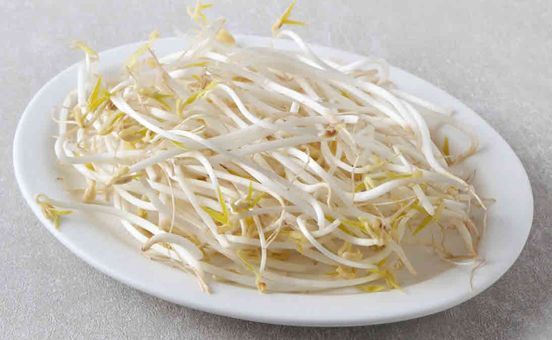 아스파라긴산이풍부한음식_숙주