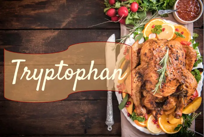트립토판(Tryptophan)이 풍부한 음식