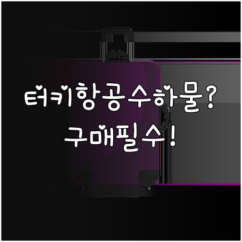 터키항공 EcoFly 운임은 위탁수하..