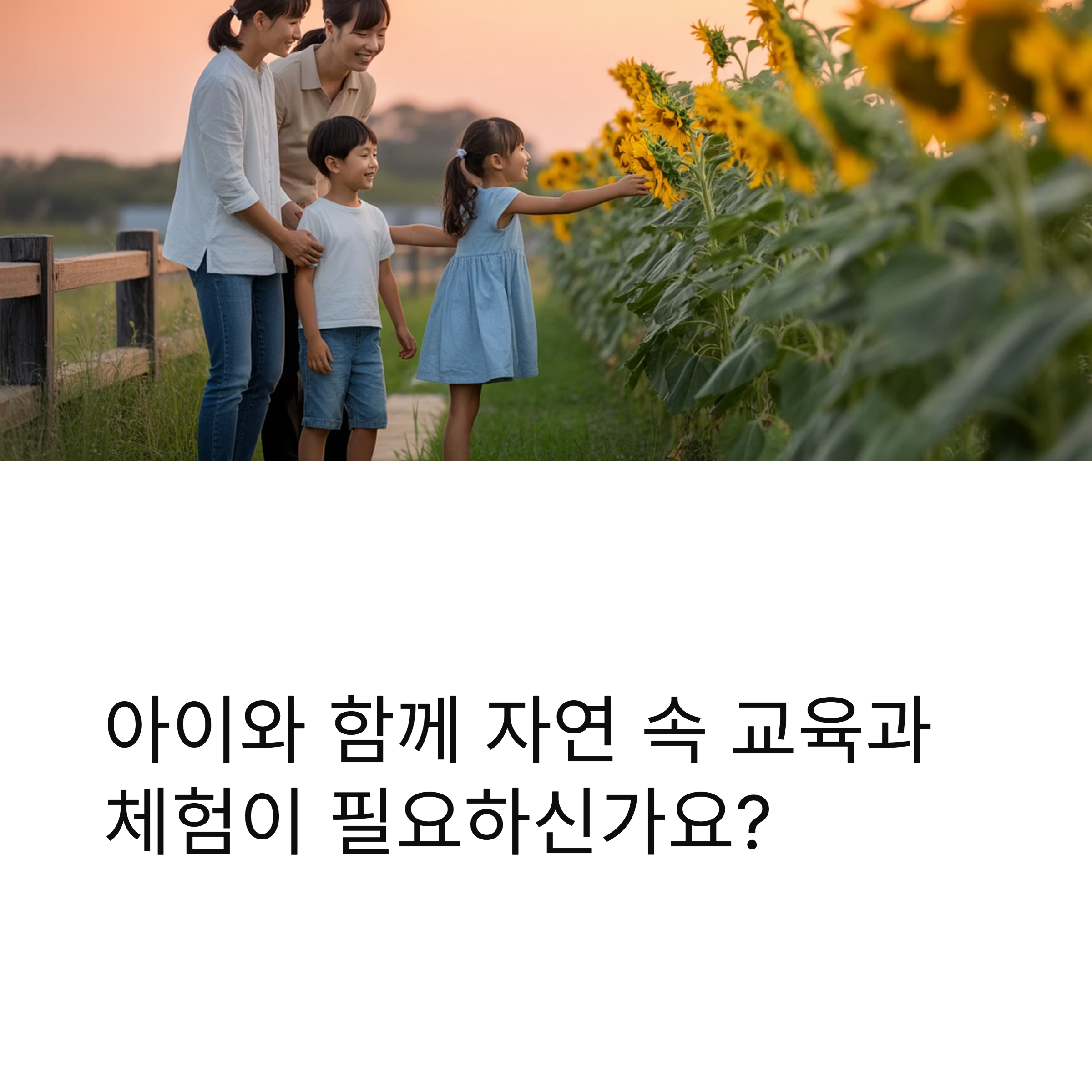 평택 농업생태원, 농촌 체험과 동물 교감으로 즐기는 하루 여행