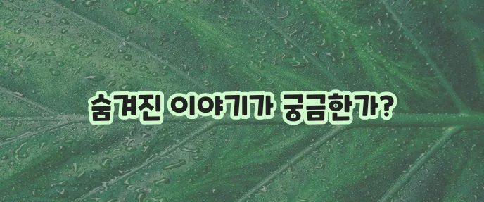 서울 2033 후원자 apk야말로 최고지!