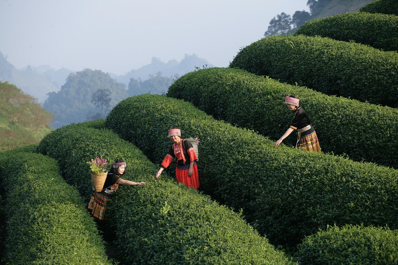 인도 배낭여행 경비