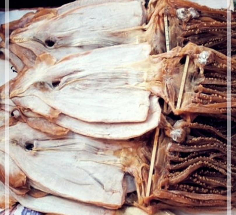 마른 오징어의 효능중에서 Top4.