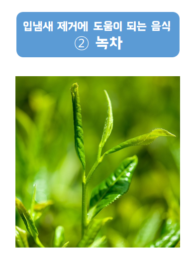 녹찻잎 하나.
녹차는 입 안의 세균 번식을 막아준다.