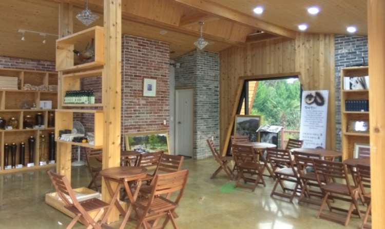 장흥 하늘빛수목원