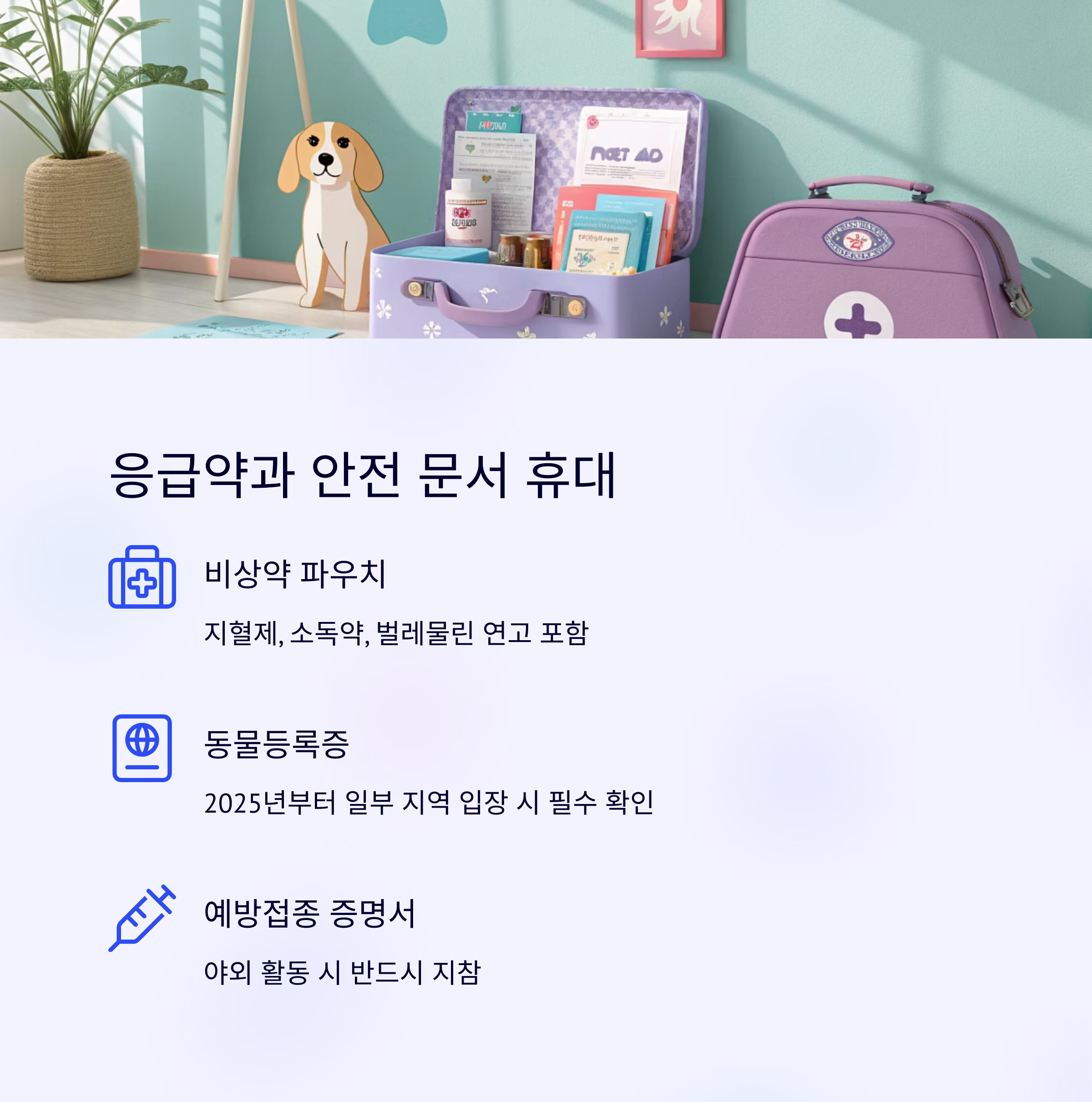 응급약과 안전 문서 휴대