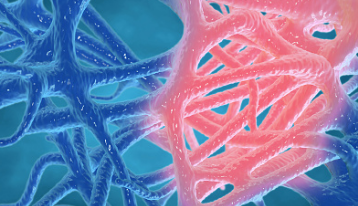 프로폴리스 효능