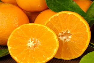 올팜 맞팜 친구 맺기