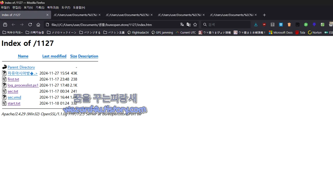 김수키 가 만든 악성코드 사이트