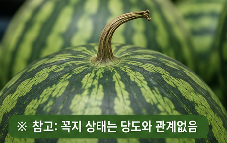 꼭지 상관 없음