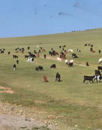 몽골 여행하기 좋은 계절 완벽 가이드 베스트 시기_22