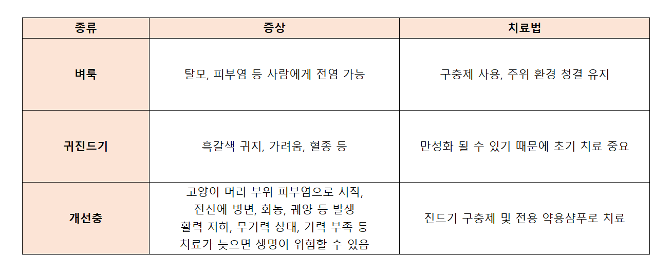 고양이 구충제 시기&#44; 필요성&#44; 종류
