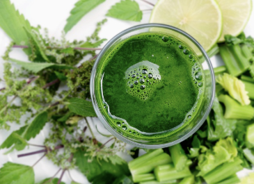 면역력을 높이는 생활 습관과 영양 관리