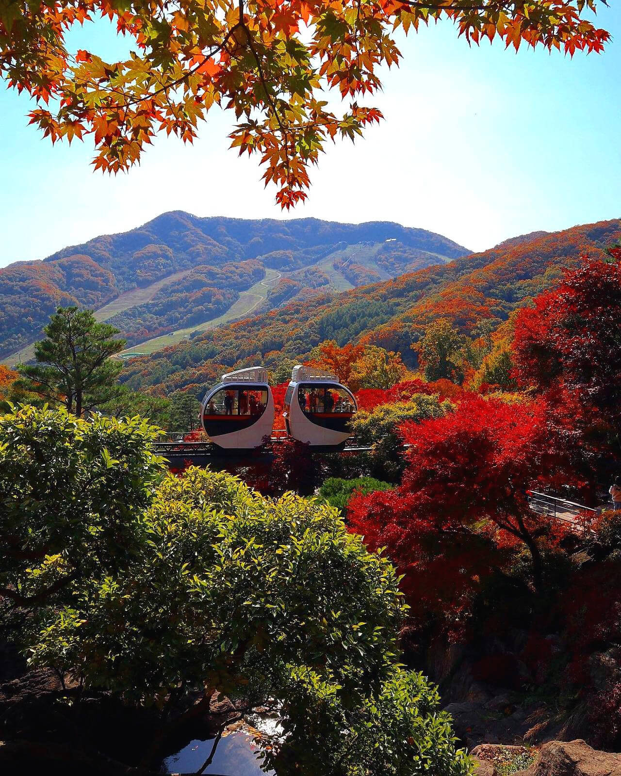 화담숲 예약하기 | 100% 성공하는 팁