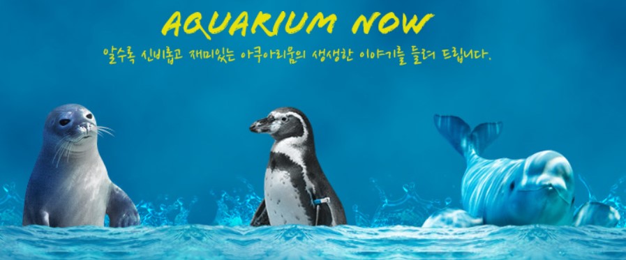 롯데월드 수험생 할인