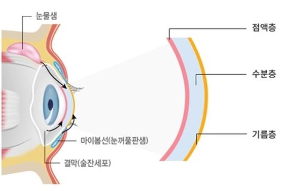 겨울철 눈·코·입 건강 관리 필요성 관련 이미비