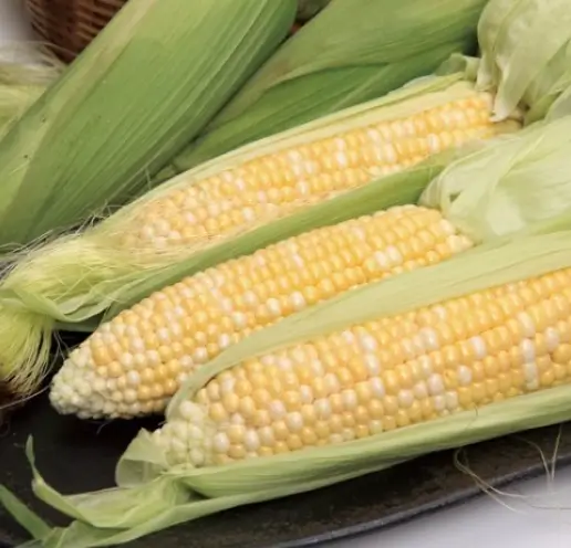 신우신염-좋은음식-옥수수