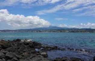 비양도 배시간표