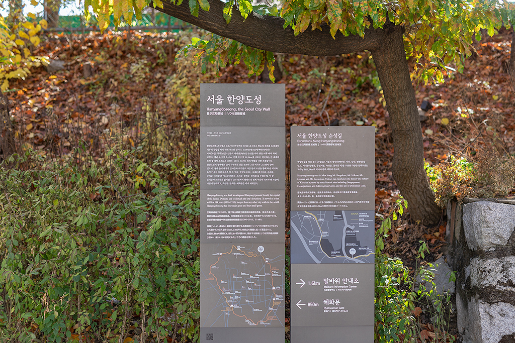 혜화문
성북동
한양도성길
백악구간
서울여행
서울단풍
가을단풍
단풍