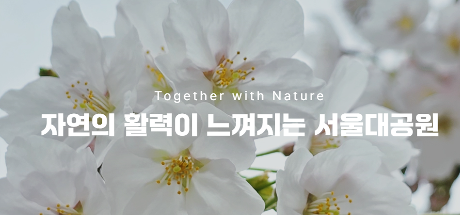 과천 서울대공원