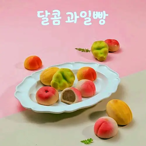 네모세모 강원 속초 맛집 전국 택배 가능 국내최초 달콤한 캐릭터빵 과자의 성 체험 테마파크 맛있는 베이커리 카페