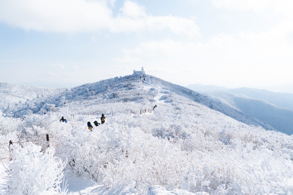 강원도 겨울 여행 명소 추천, 설경·자연·산행 BEST 4