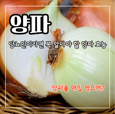 양파즙, 양파 효능 12가지와 부작용