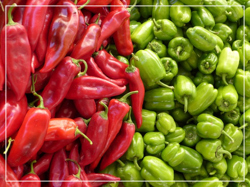 빨간피망 청피망
