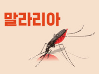 말라리아 매개모기의 모습