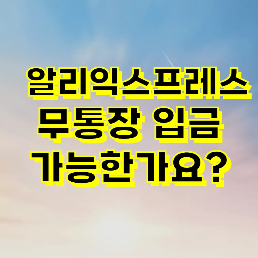 알리익스프레스 무통장 입금 가능한가요