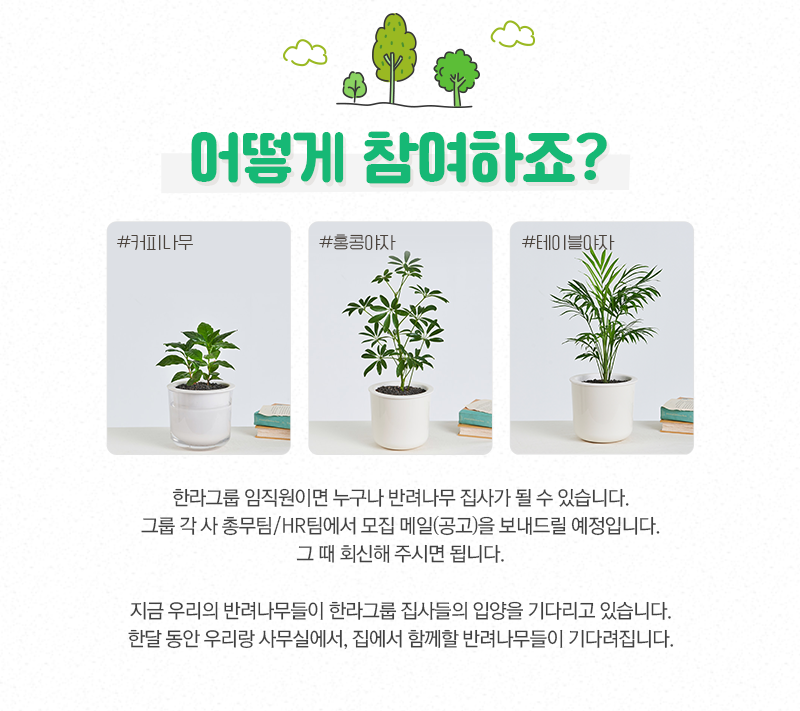 어떻게 참여하죠? 한라그룹 임직원이면 누구나 반려나무 집사가 될 수 있습니다. 그룹 각 사 총무팀/HR팀에서 모집 메일(공고)을 보내드릴 예정입니다. 그 때 회신해 주시면 됩니다. 지금 우리의 반려나무들이 한라그룹 집사들의 입양을 기다리고 있습니다. 한달 동안 우리랑 사무실에서, 집에서 함께할 반려나무들이 기다려집니다.