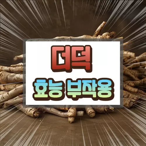 더덕 효능 부작용