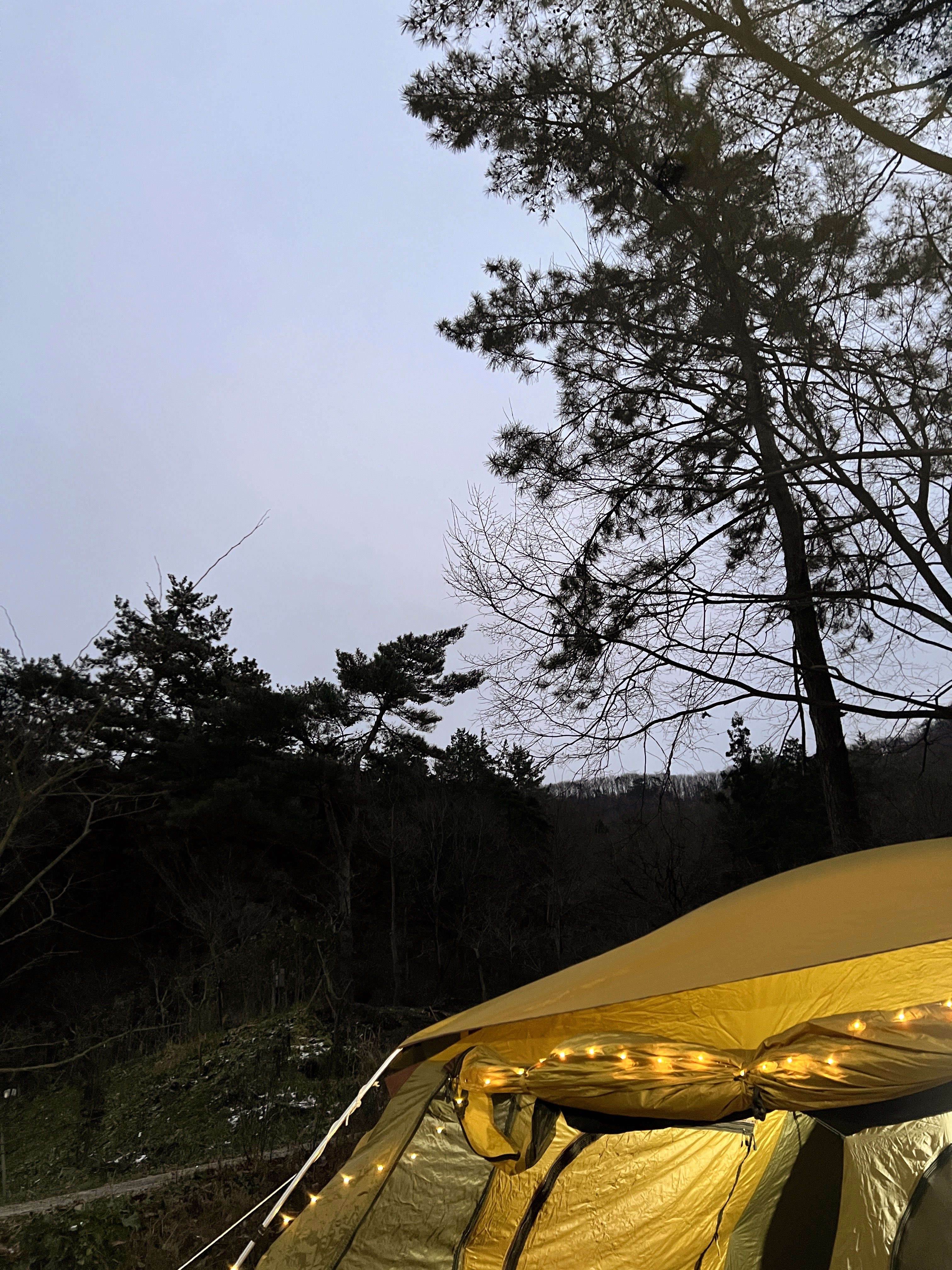 화순 워렉스캠핑장