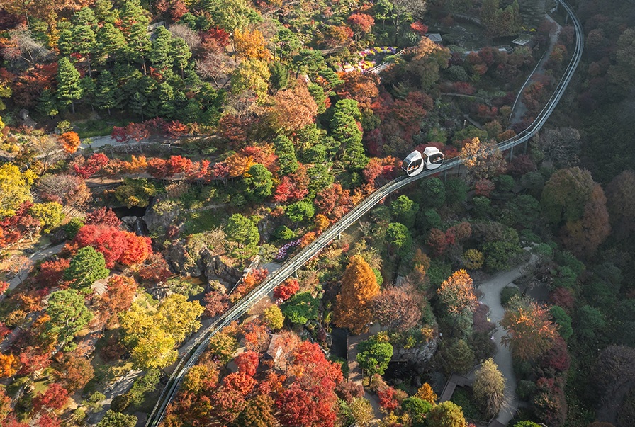 화담숲 가을 단충축제 사전예약 오픈