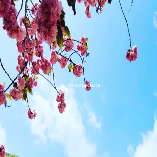 영동 가볼만한곳 베스트10