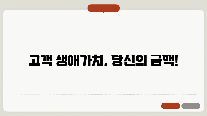 고객 생애 가치 향상을 위한 전략