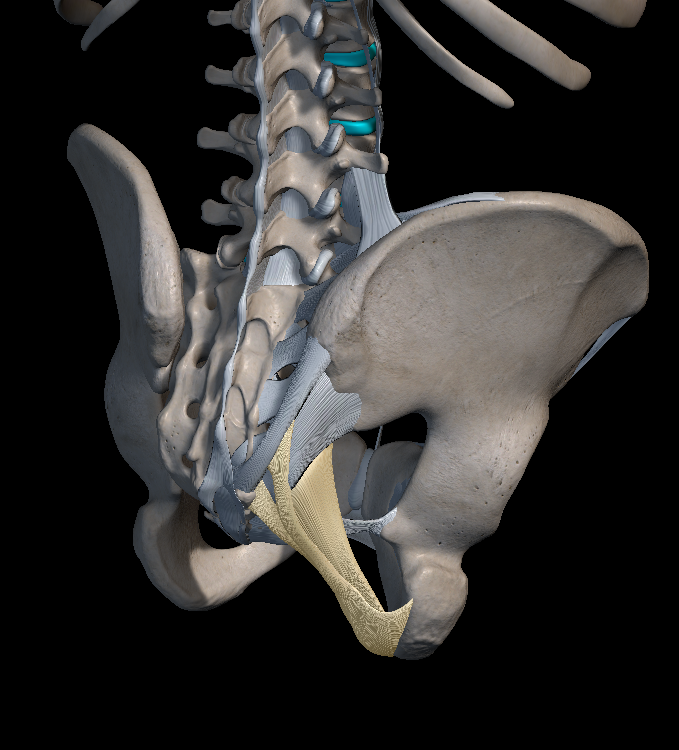 꼬리뼈 통증 원인 치료