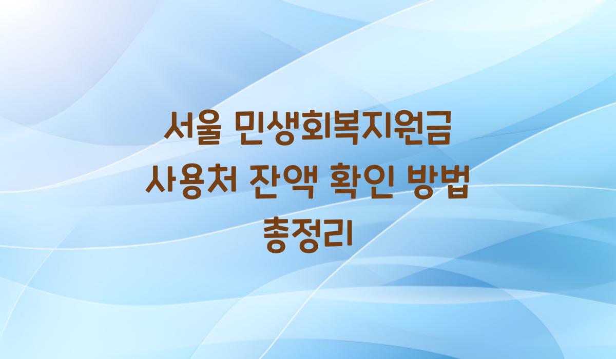 서울 민생회복지원금 사용처 잔액 확인 방법 총정리