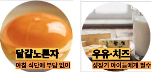 비타민A가 많은 간과 달걀노른자