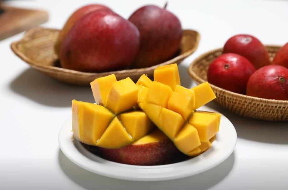 생생정보 애플망고 수확의 달인 애플망고