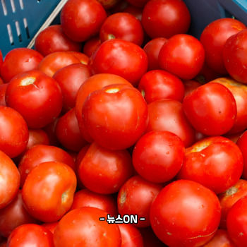 칼륨이 많은 과일과 채소