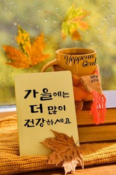 가을이미지