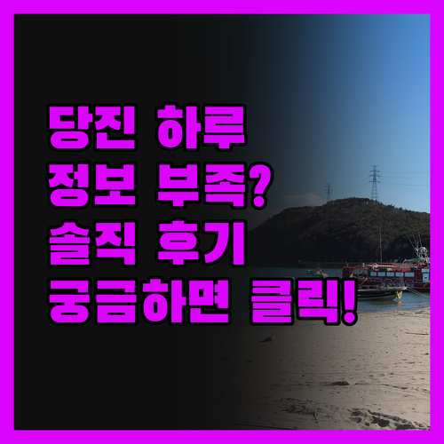 당진 하루, 솔직히 정보가 너무 없잖