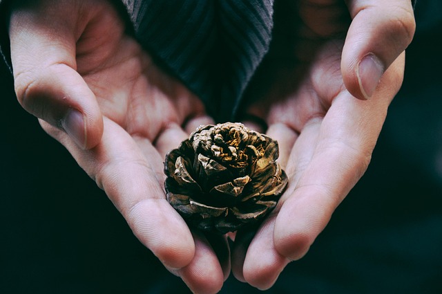 한국인의 정(情) 문화 – 말보다 마음을 읽는 관계