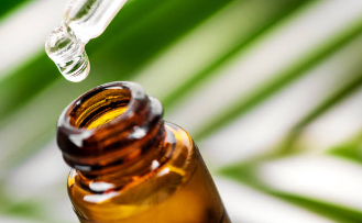 티트리 오일 곰팡이 제거