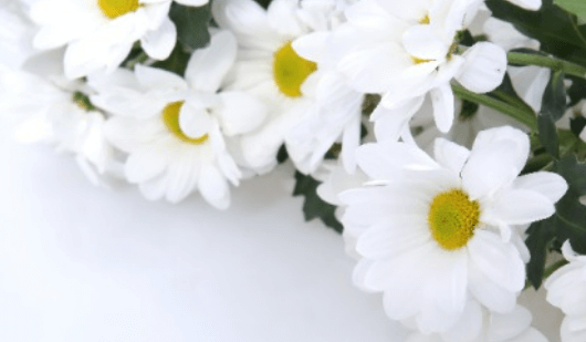 죽는 꿈 해몽, 길몽일까 흉몽일까? (무료 꿈해몽)