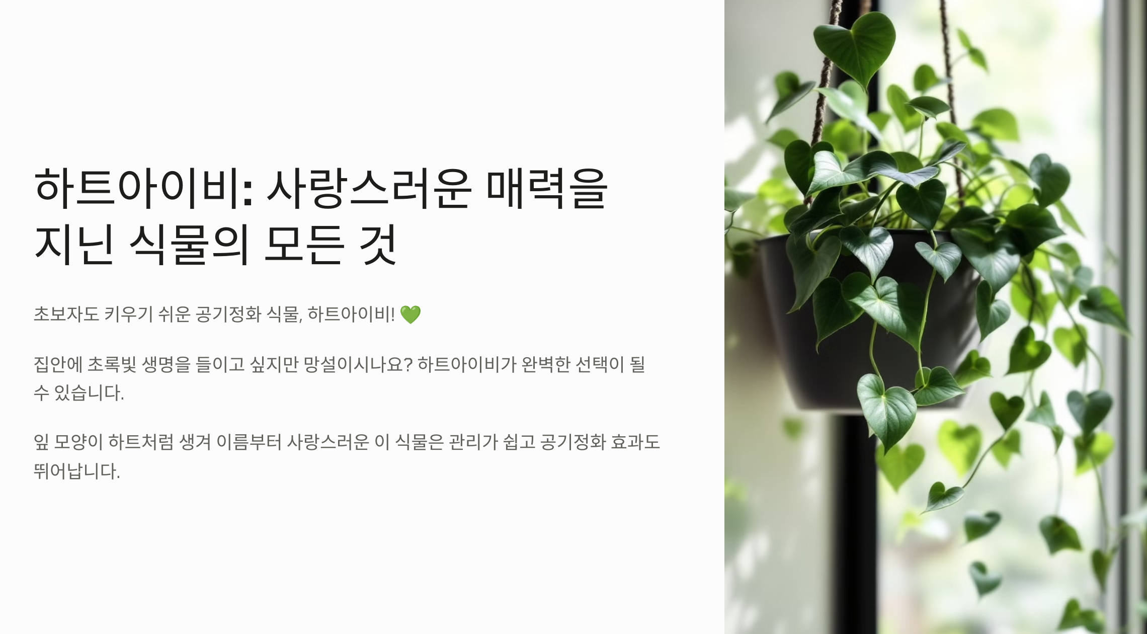 하트아이비