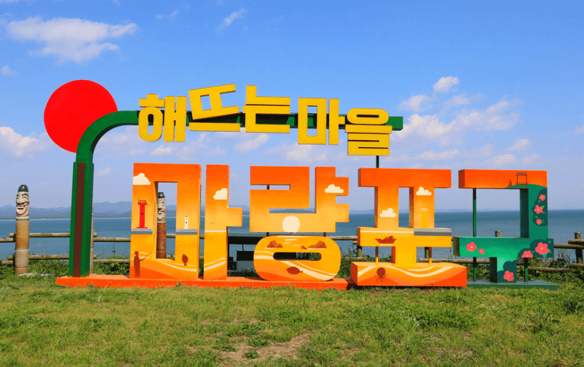 서천자연산광어도미축제